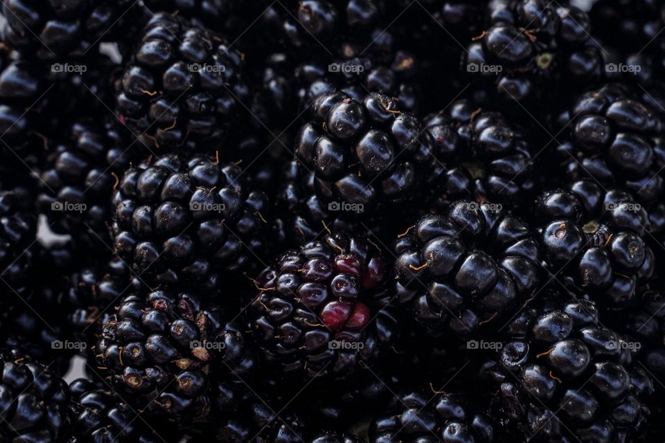 background of blackberry 