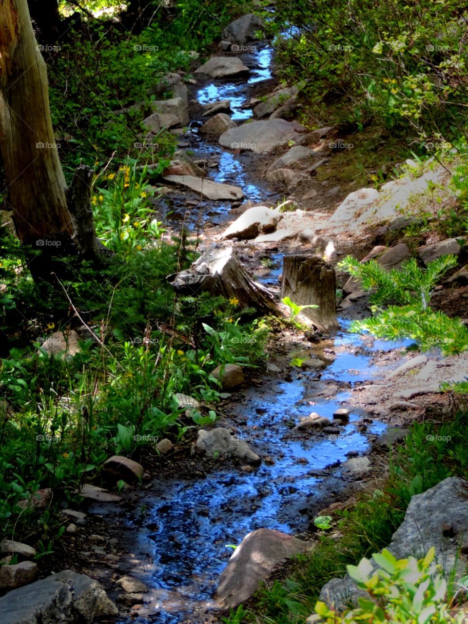 Liquid sky. a trickle of heaven