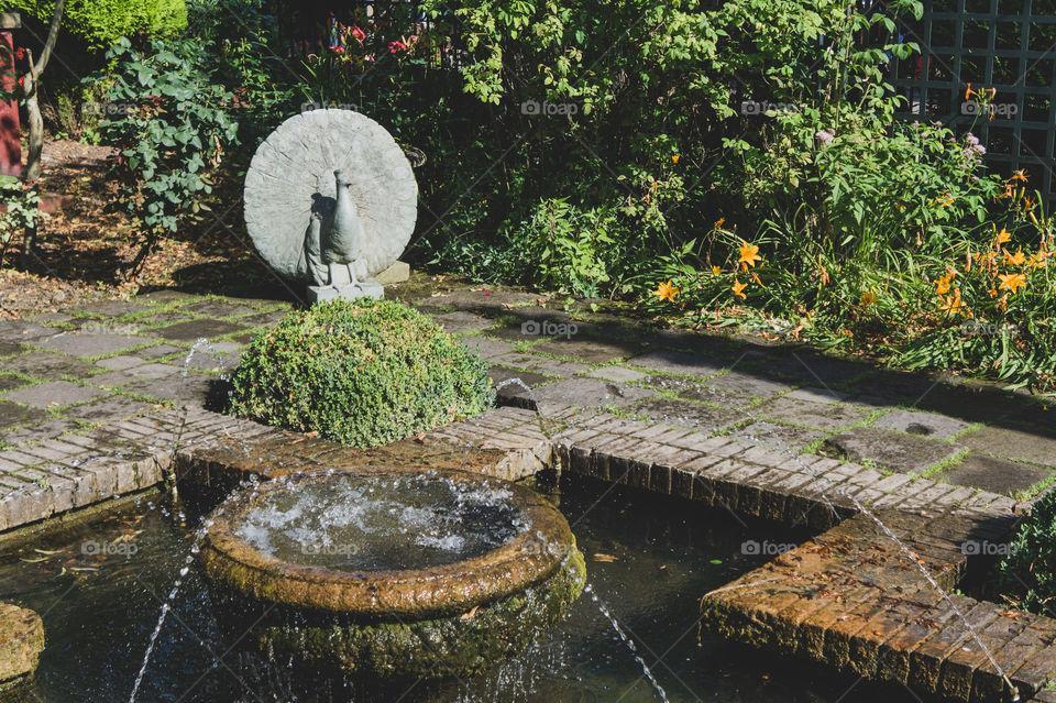 Fountain with a peacock sculpture in front of a pond