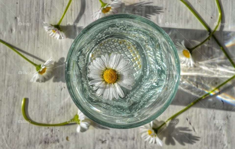 Glass, Flora, H2 O, Desktop, Nature