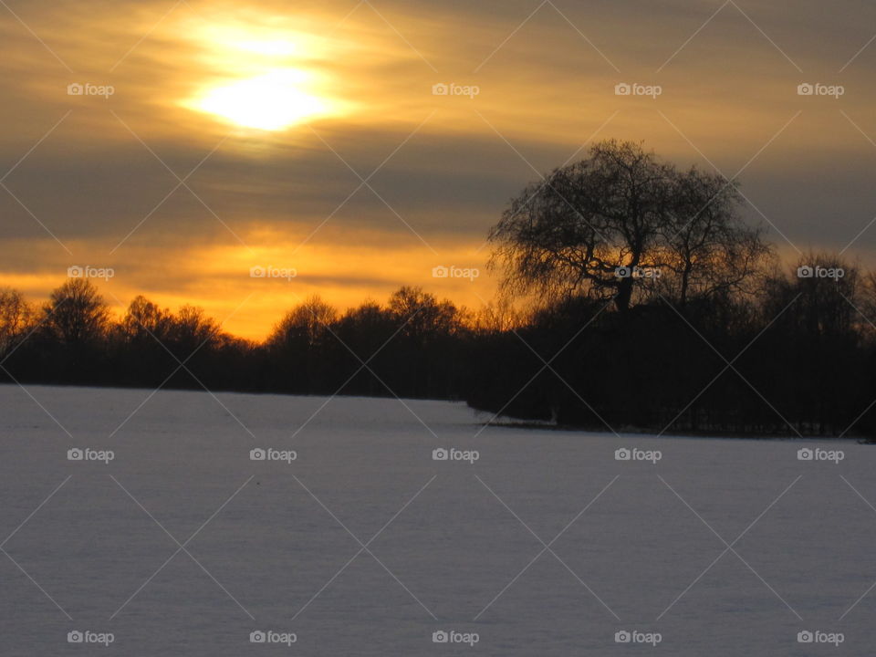 Landscape, Dawn, Tree, Sunset, Winter