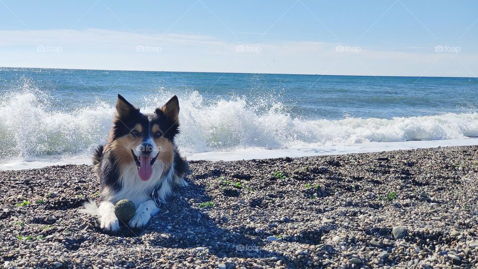 el placer de disfrutar