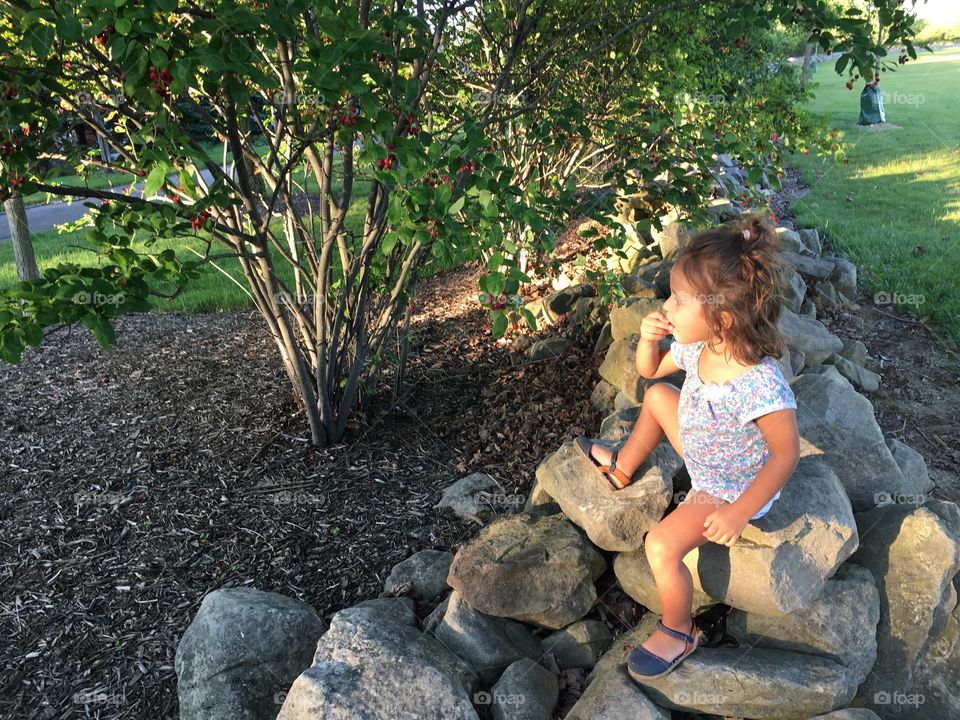Girl Picking juneberries 