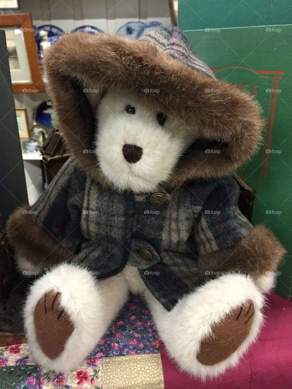 Bear with coat and hood