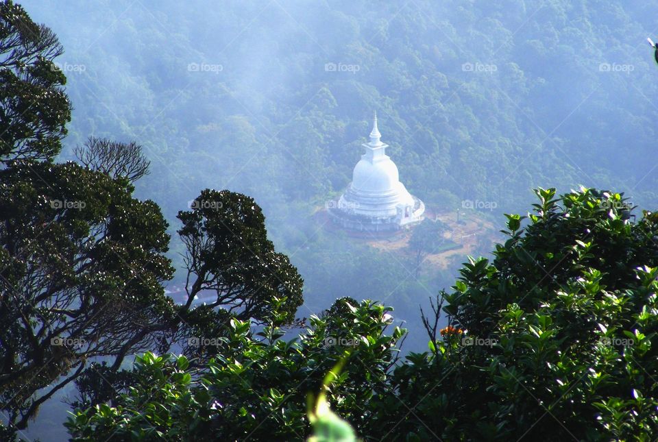 Temple in forest