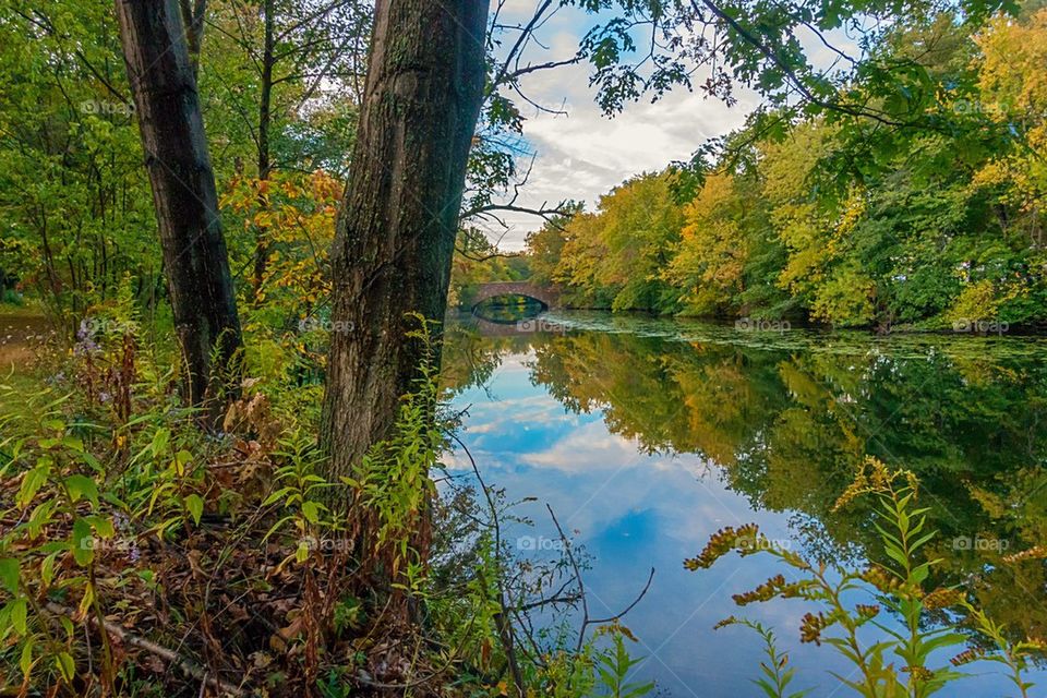 Mystic river reflections 