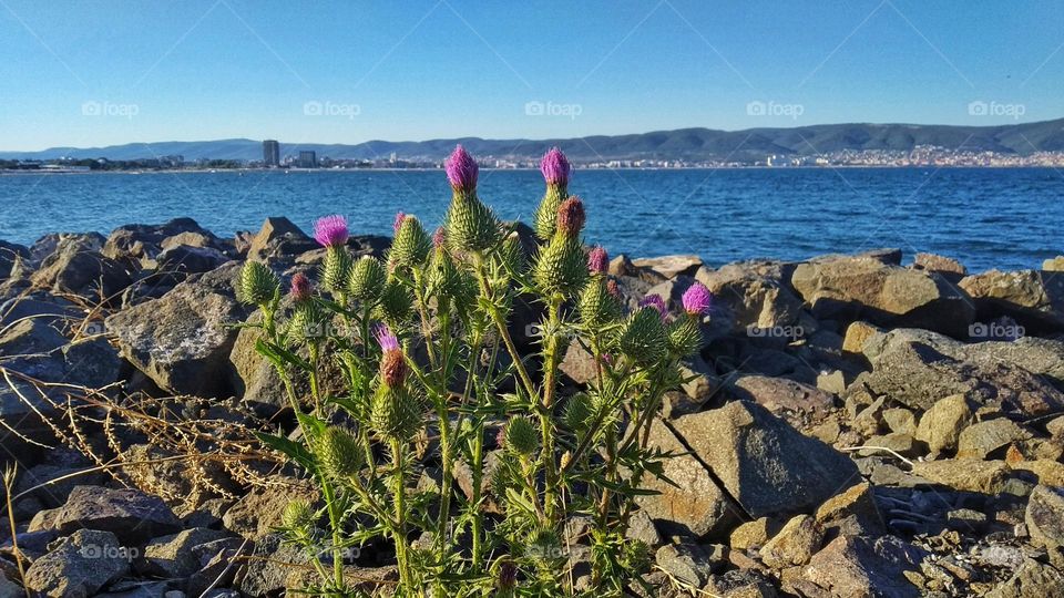 View of the Black sea from the embankment of Nessebar Bulgaria