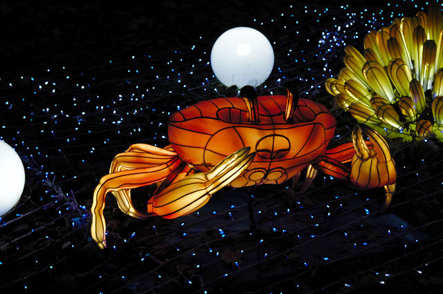 crab