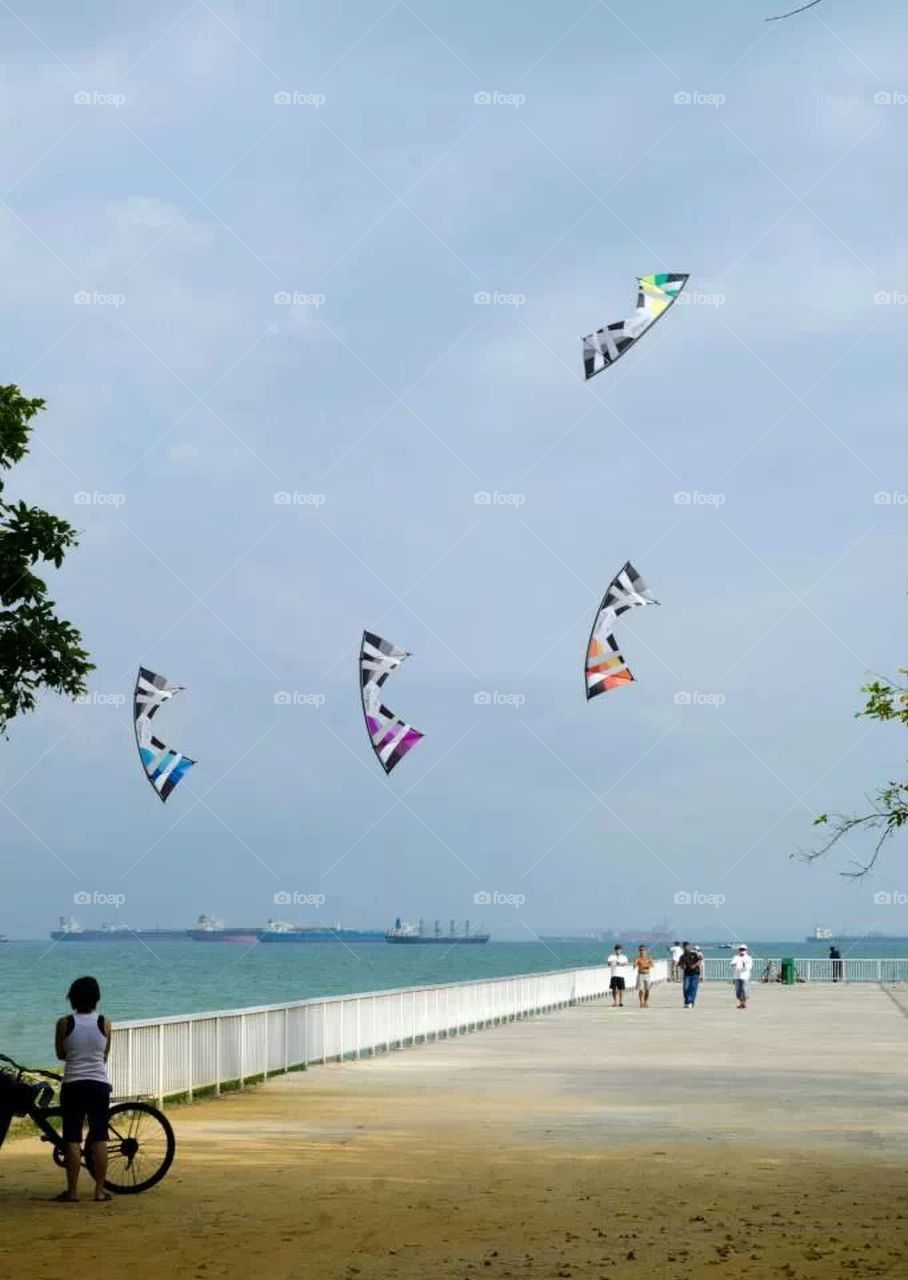 Where the wind takes us