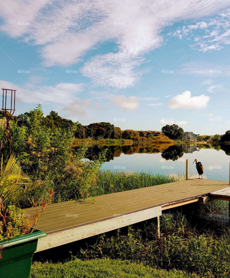 Dockside Lakeview