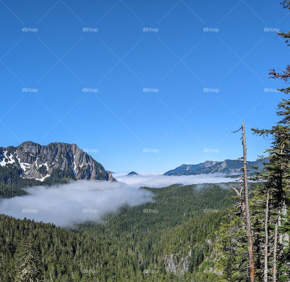 foggy morning at the mountains blue skies and mountain views thick fog at the mountaintop above the clouds