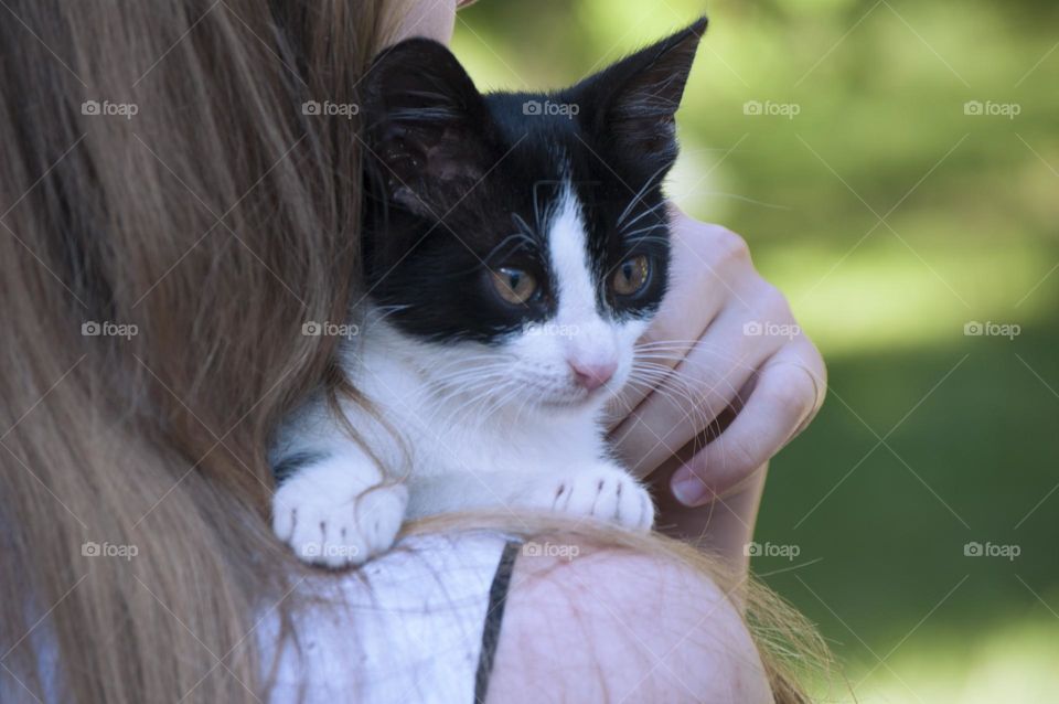 girl holding a kitten