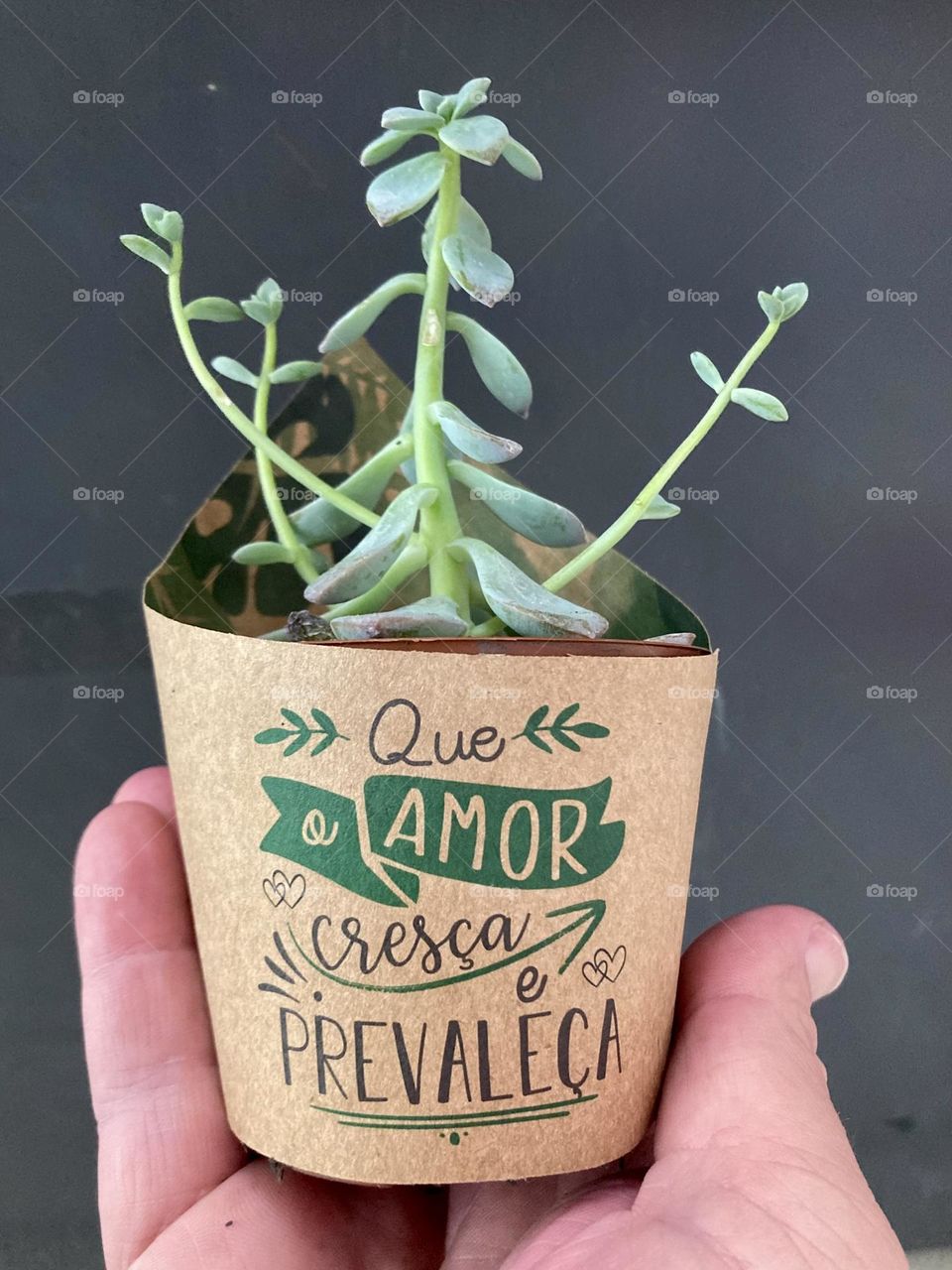 🇺🇸 In the multiverse, plants have arms and want to hug us!  "May love grow and prevail", is her message in Portuguese. / 🇧🇷 No multiverso, as plantas têm braços e querem nos abraçar! "Que o amor cresça e prevaleça", é a mensagem dela em português.