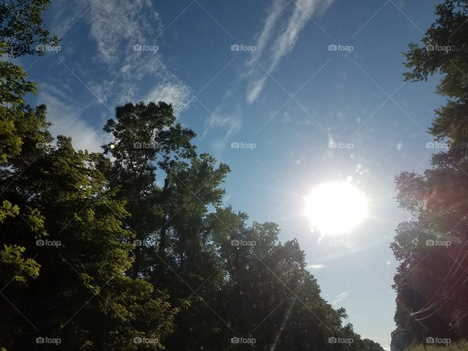 Driving the Back Roads and enjoying everything around us