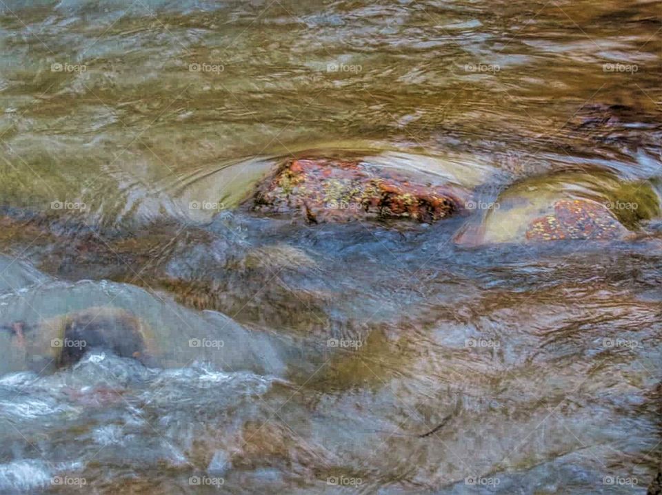 Rocks and stream