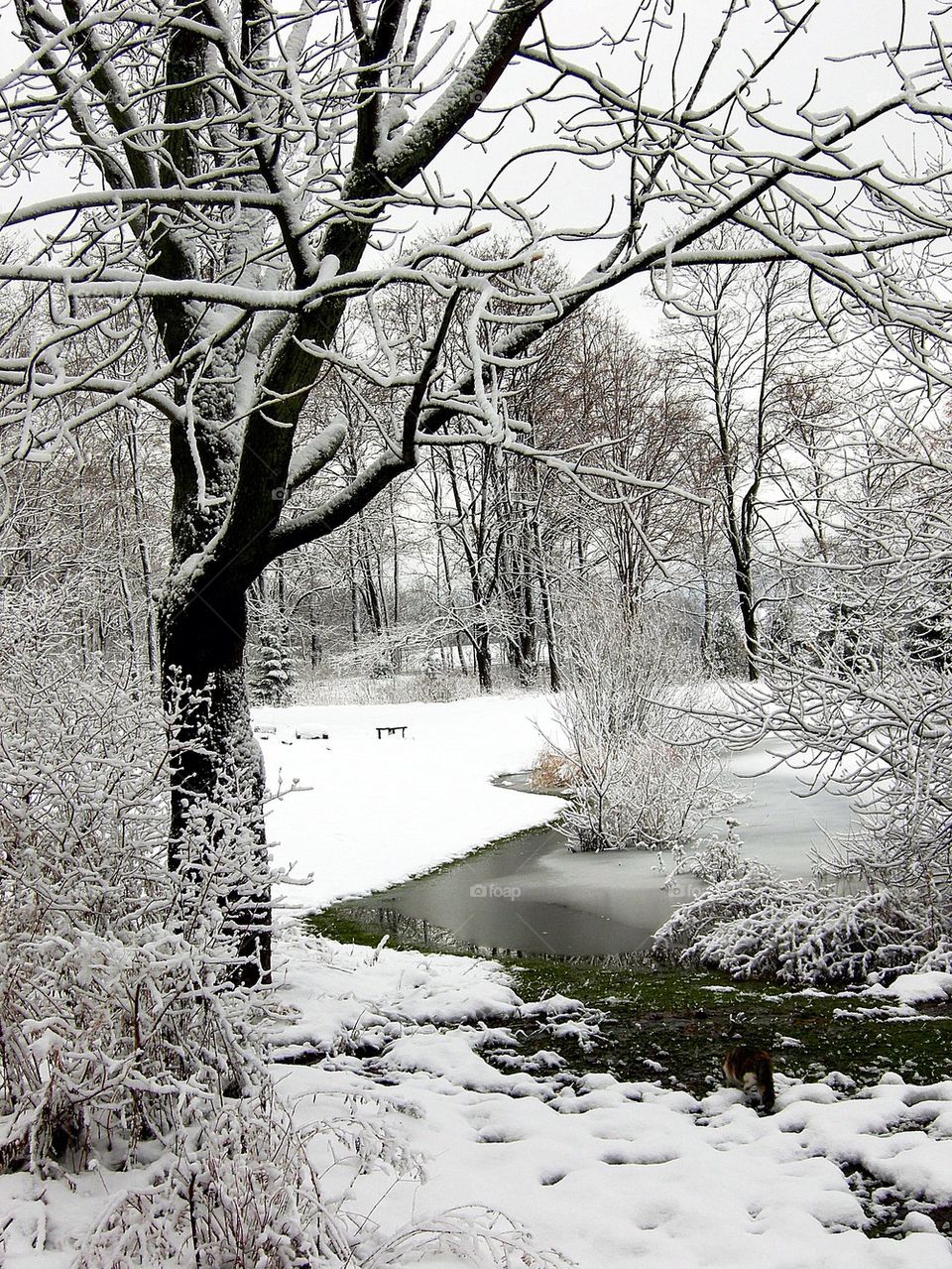 Winter exploring