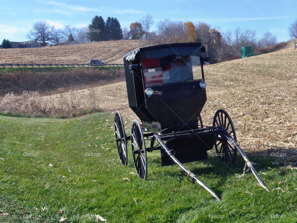 Amish Buggy