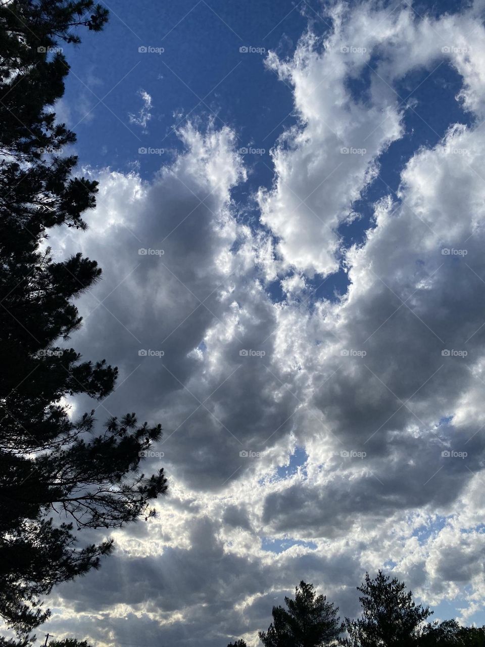 A beautiful day to look up at the sky 