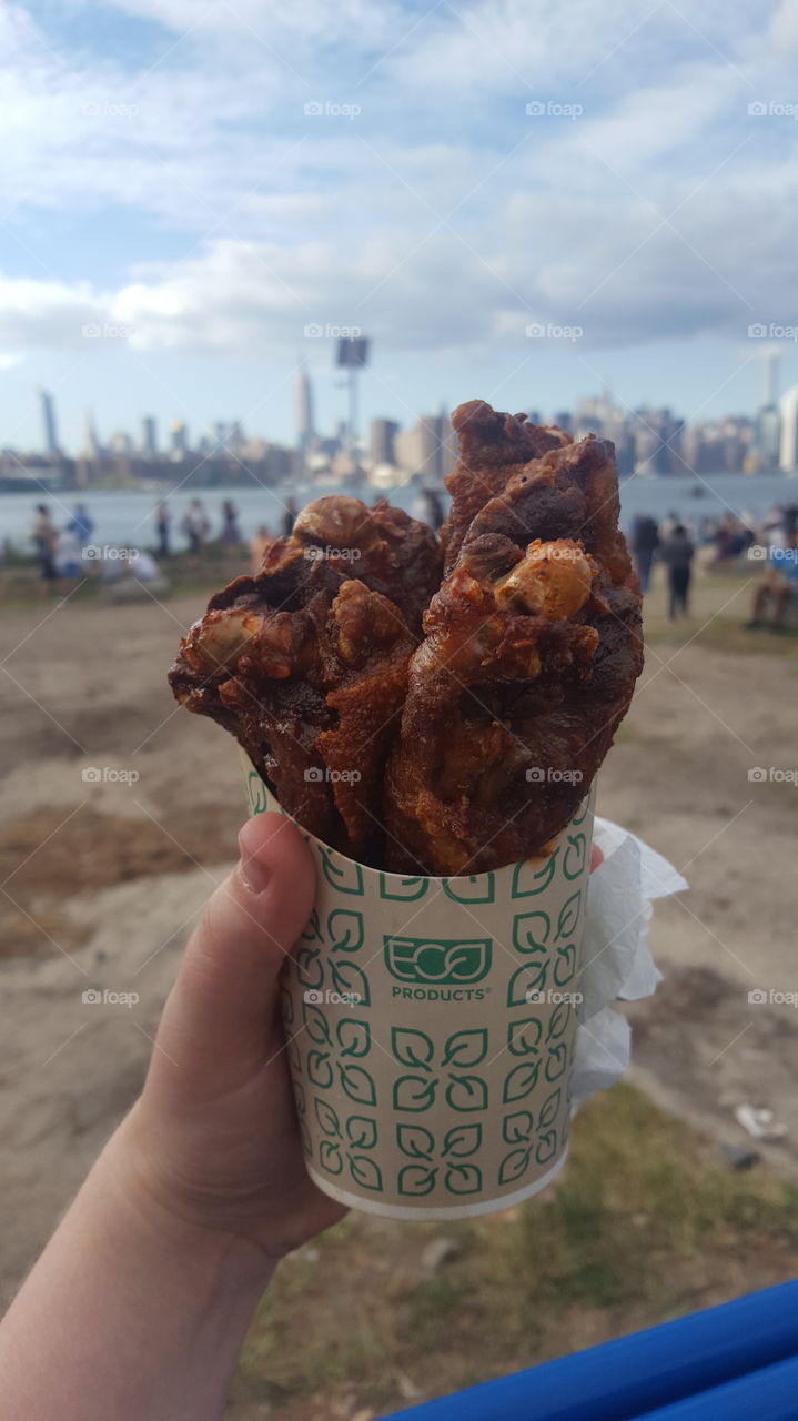 Crispy duck wings purchased from a street vendor in Williamsburg, Brooklyn, New York.
