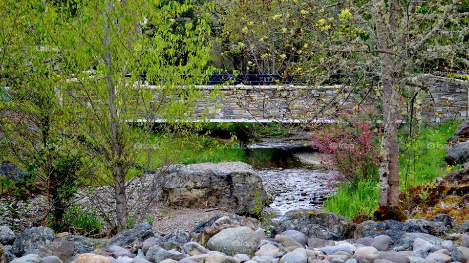 Bridge over stream