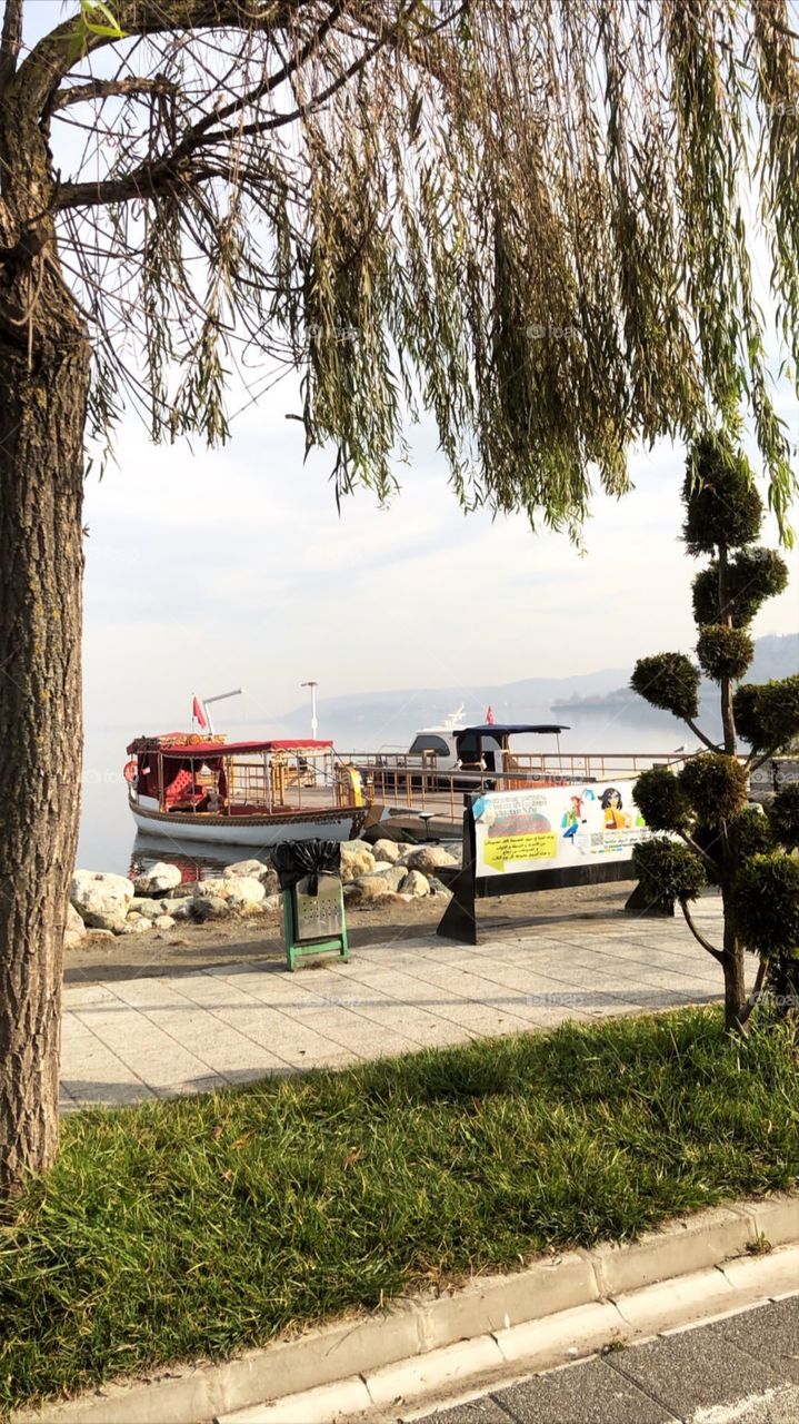 The Beautiful Nature