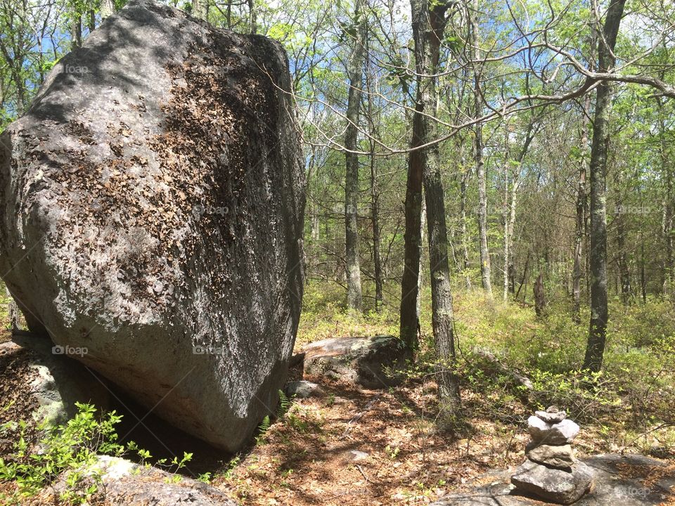 Erratic Boulder 