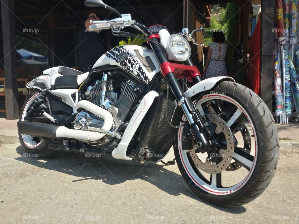 White Harley Davidson bike. Psakoudia, Road House beach bar, Greece