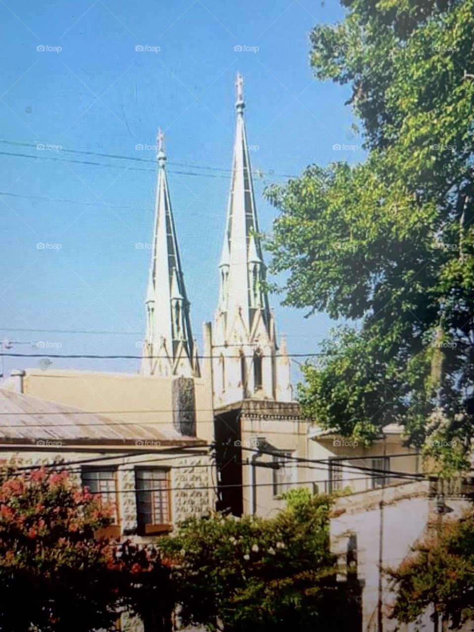 Savannah Catholic Cathedral 