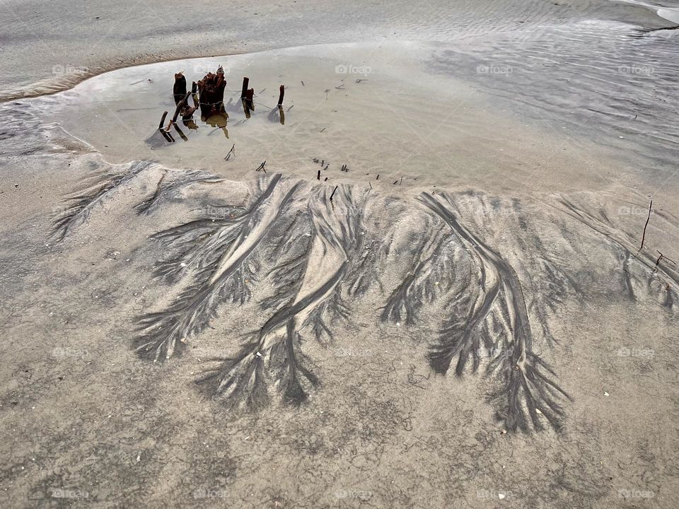 Very cool designs mimicking dendrites made in the sand at Hunting Island State Park in South Carolina 