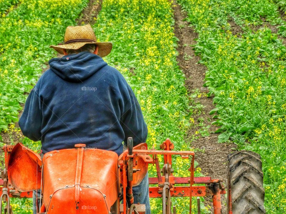 Old Farmer Riding A Tractor