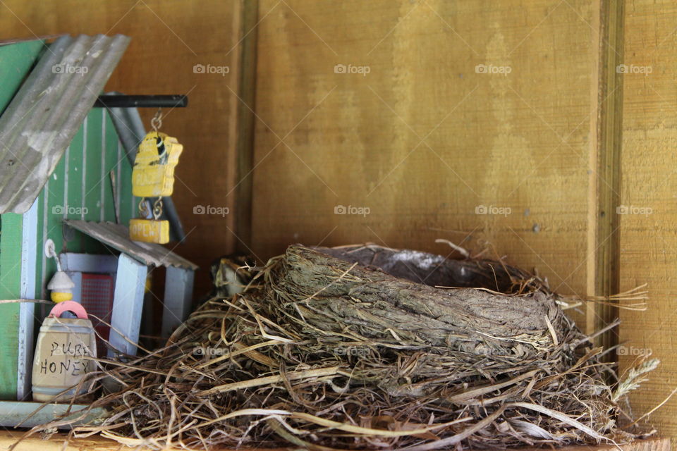 bird nest outside the bird house