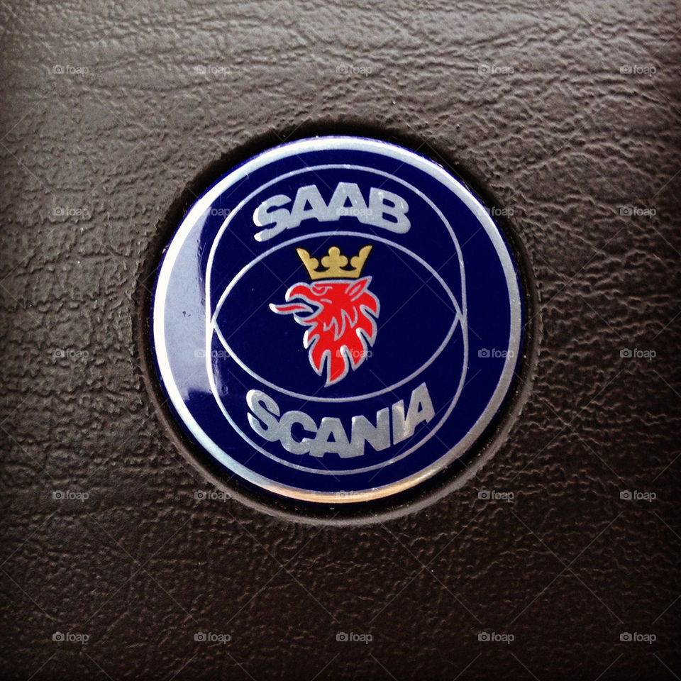 sweden car lion logo by cuscus