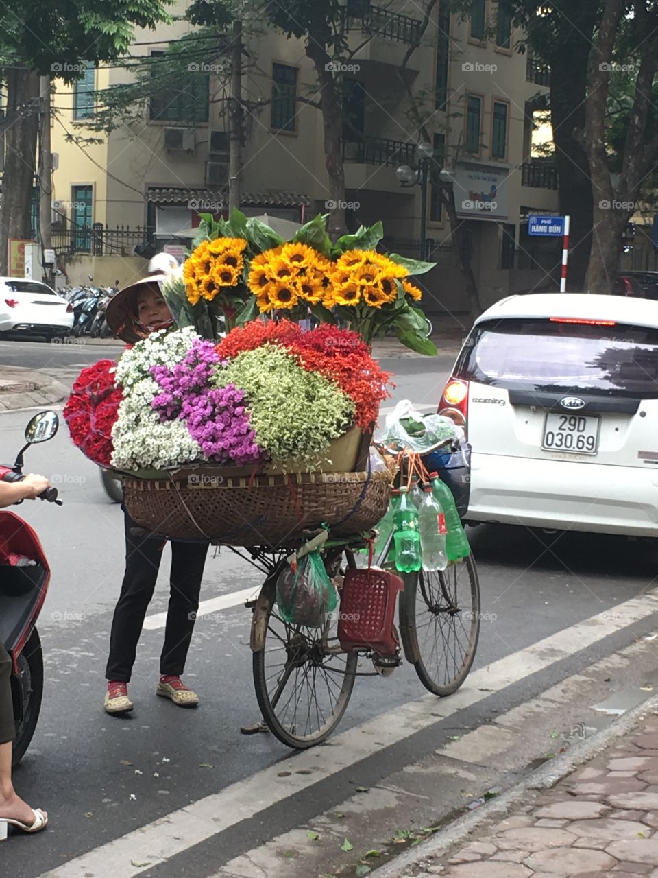 The Flowers of Vietnam 