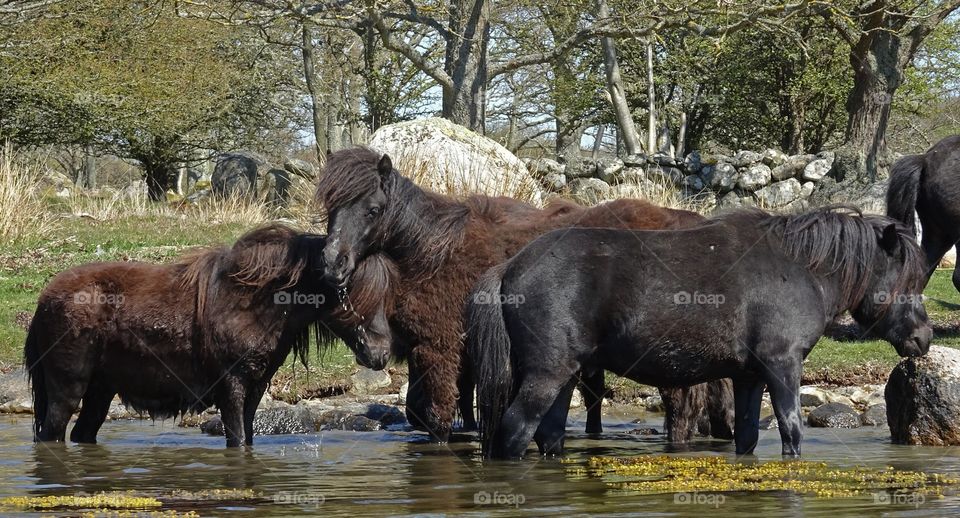 Slädö, Ronneby, Sweden