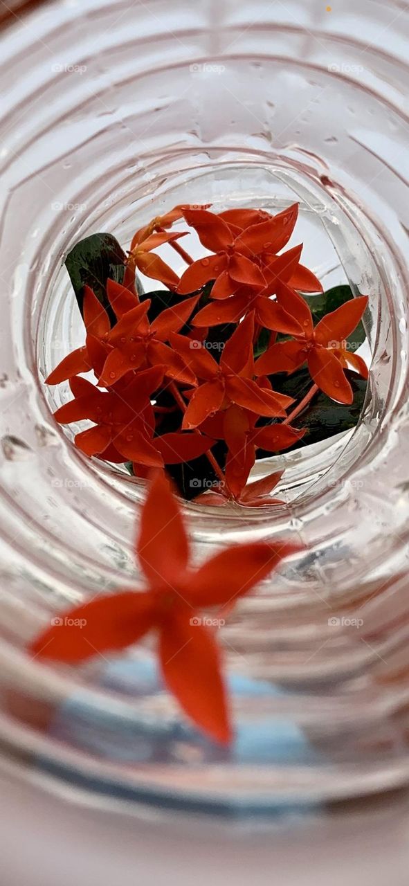 I love to create beauty, living with beautiful nature makes that easier 