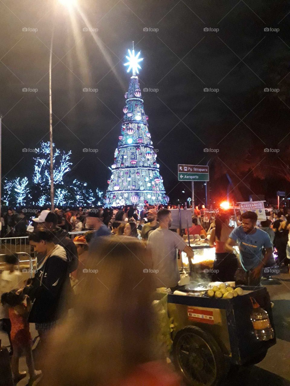 Árvore de Natal do ibirapuera,São Paulo