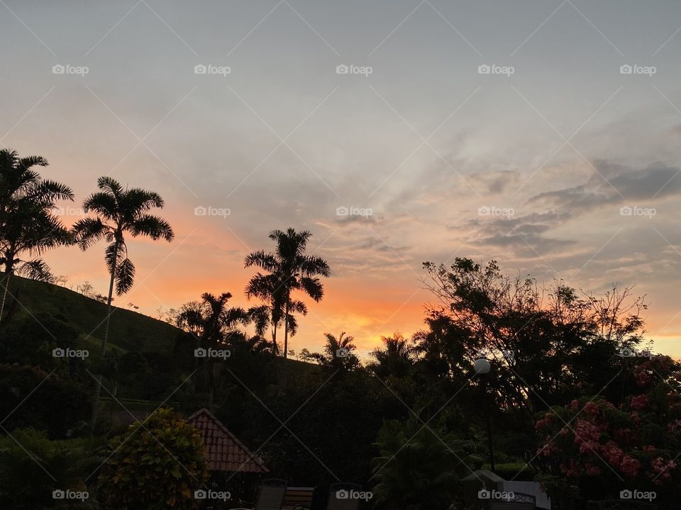 Atardecer palmera