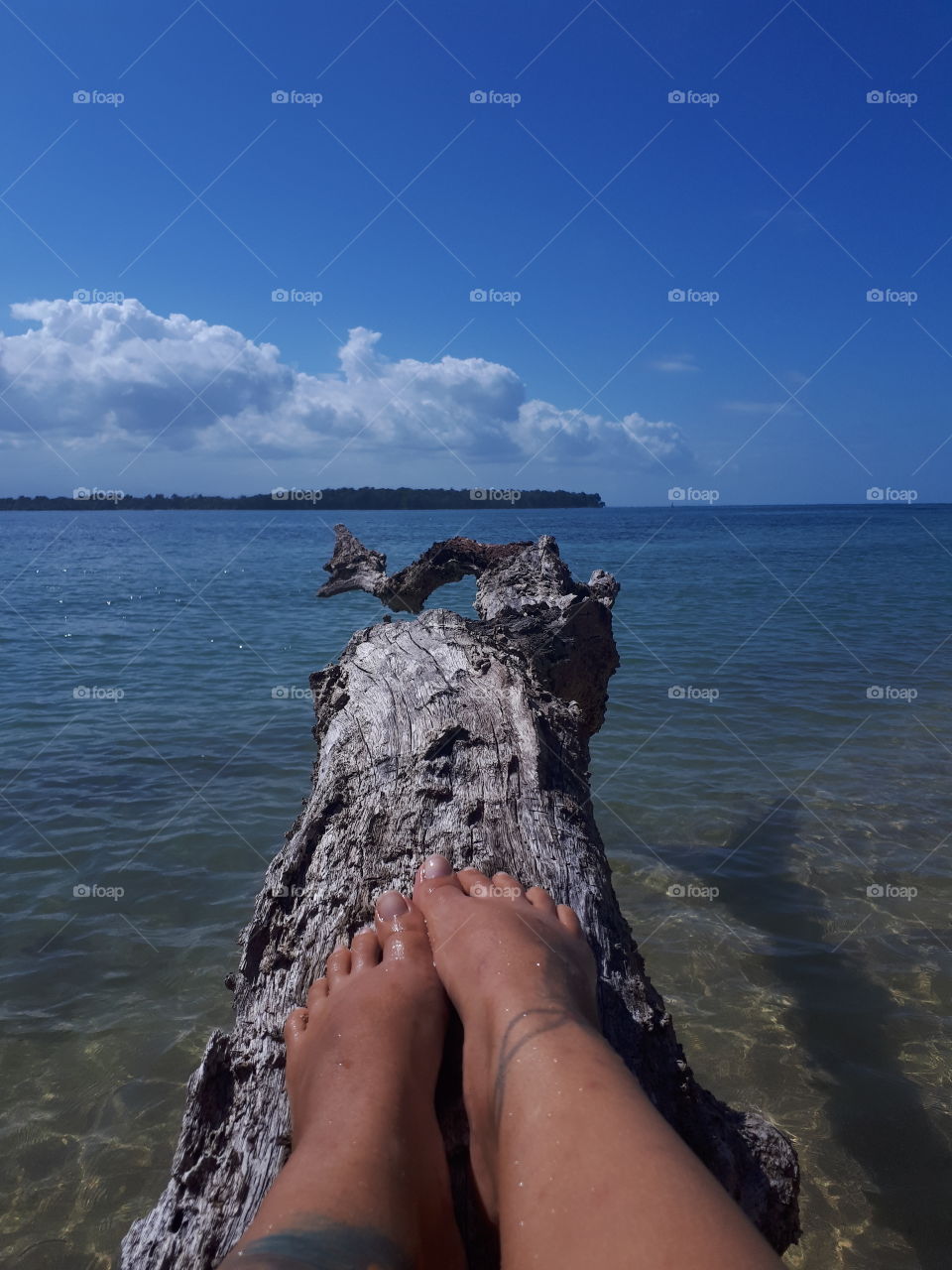 feet on tree