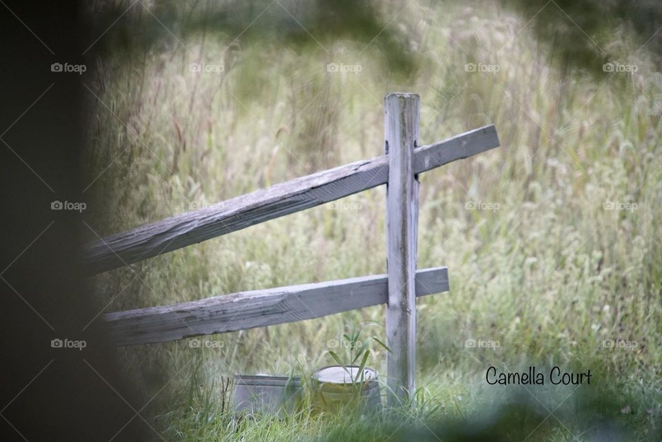 Wood fence at the edge of the field through the trees