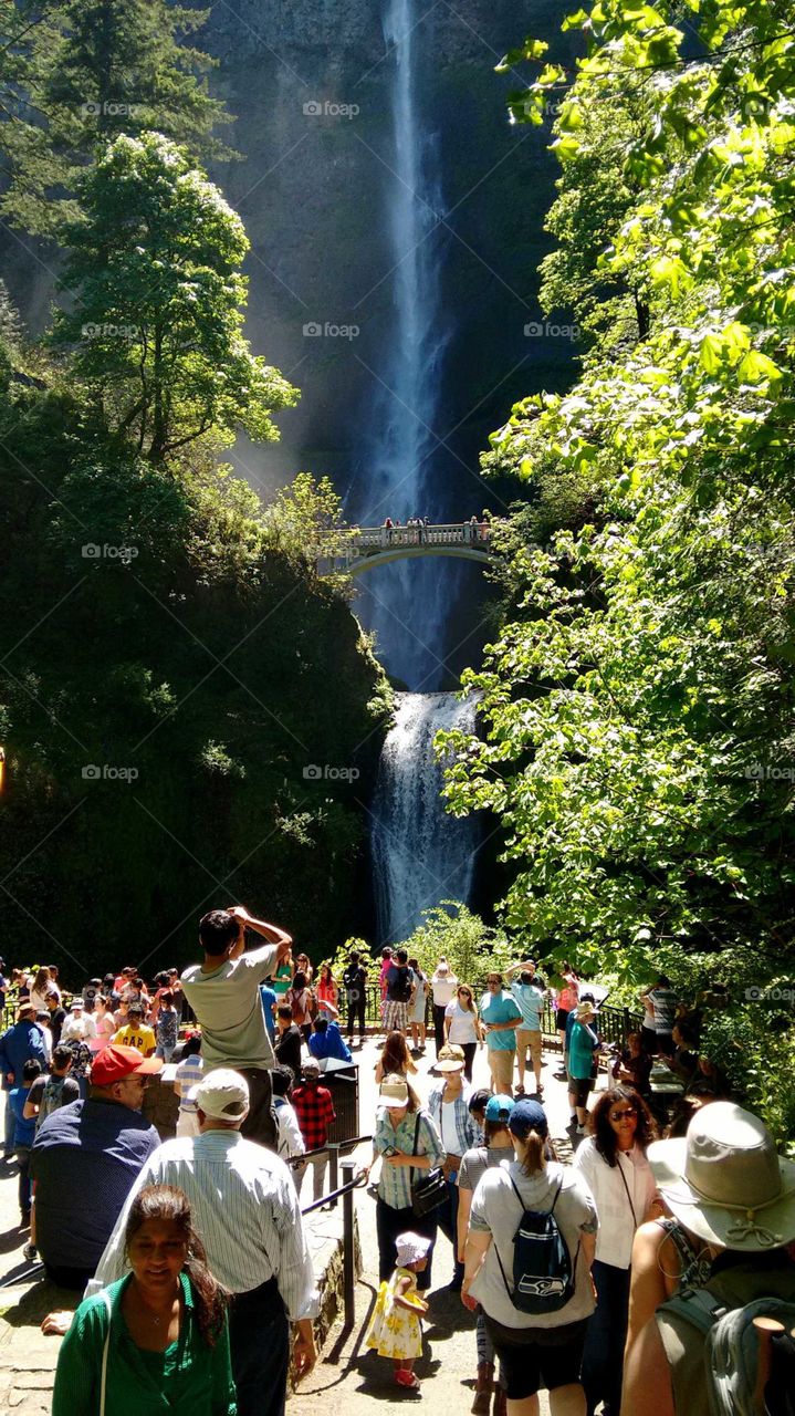 Multinomah Falls , Origon