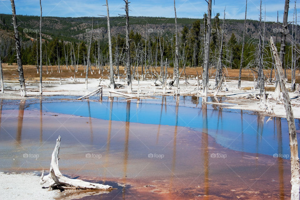 Yellowstone