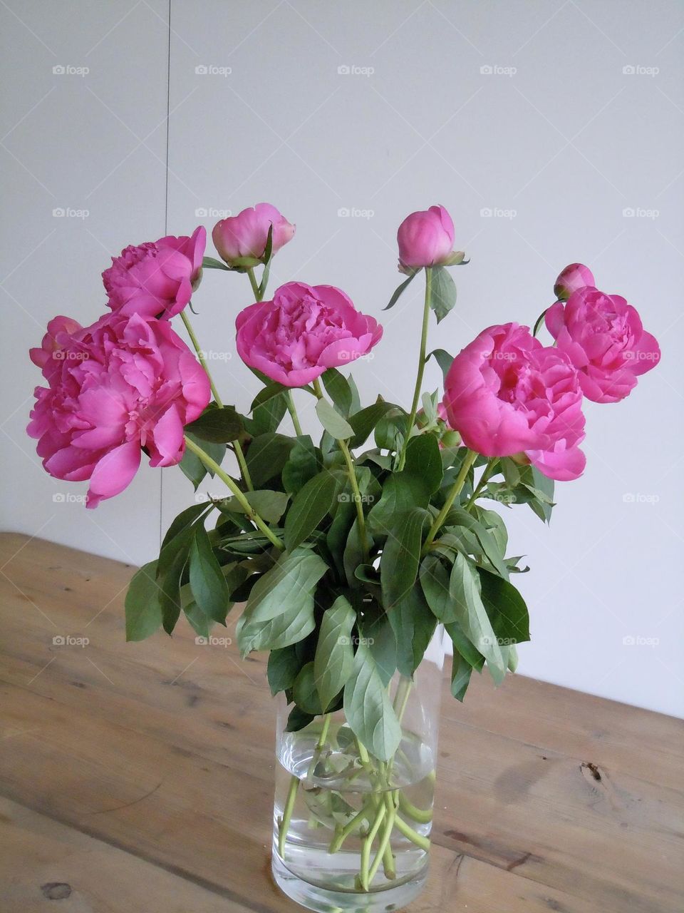 Hot pink peonies are romantic and are seen in many cultures as a symbol of good luck and prosperity. 