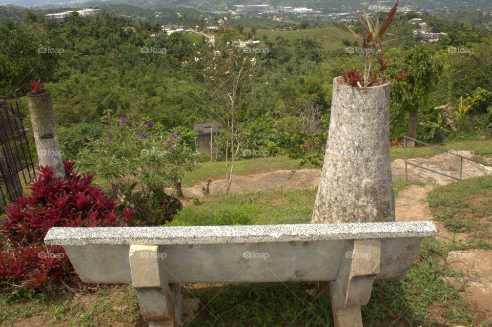 Paisaje, View, Plants, Plantas, Puerto Rico, Caguas
