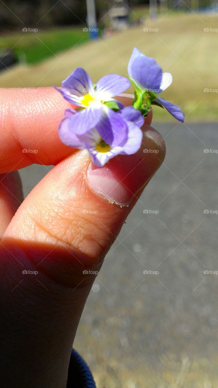Inside the small world