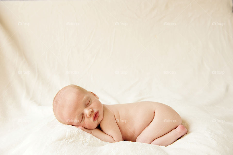 Napping Newborn . A newborn baby naps during a photo session. 