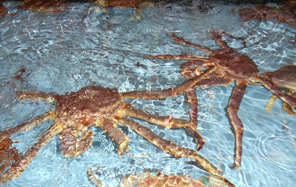 Restaurant offering crab