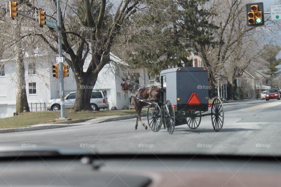 Amish Buggy