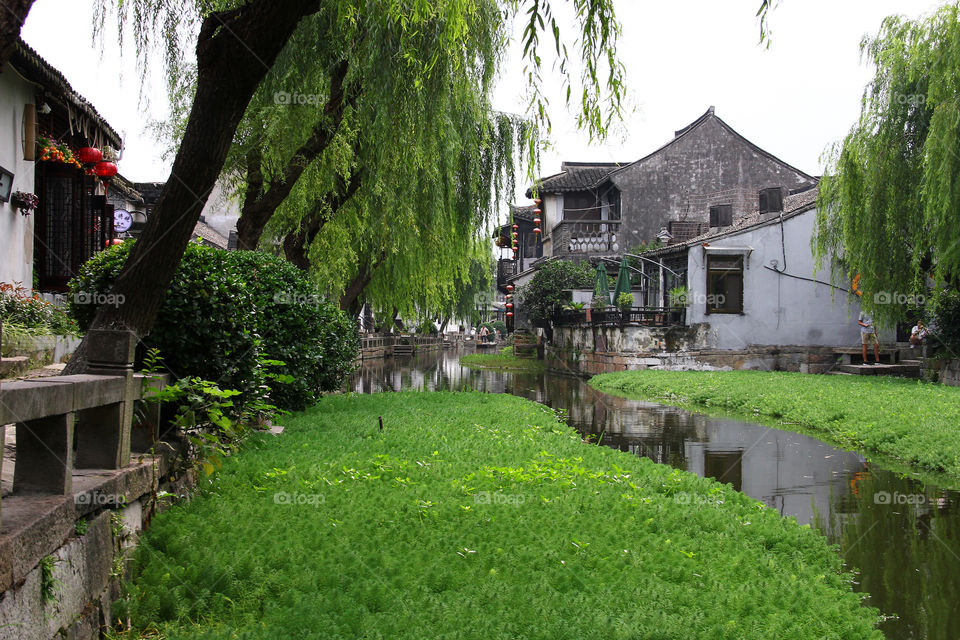 A scene from a water Village ik China.