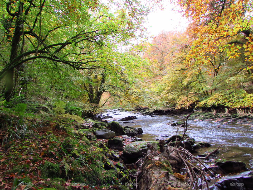 The river barle in autumn
