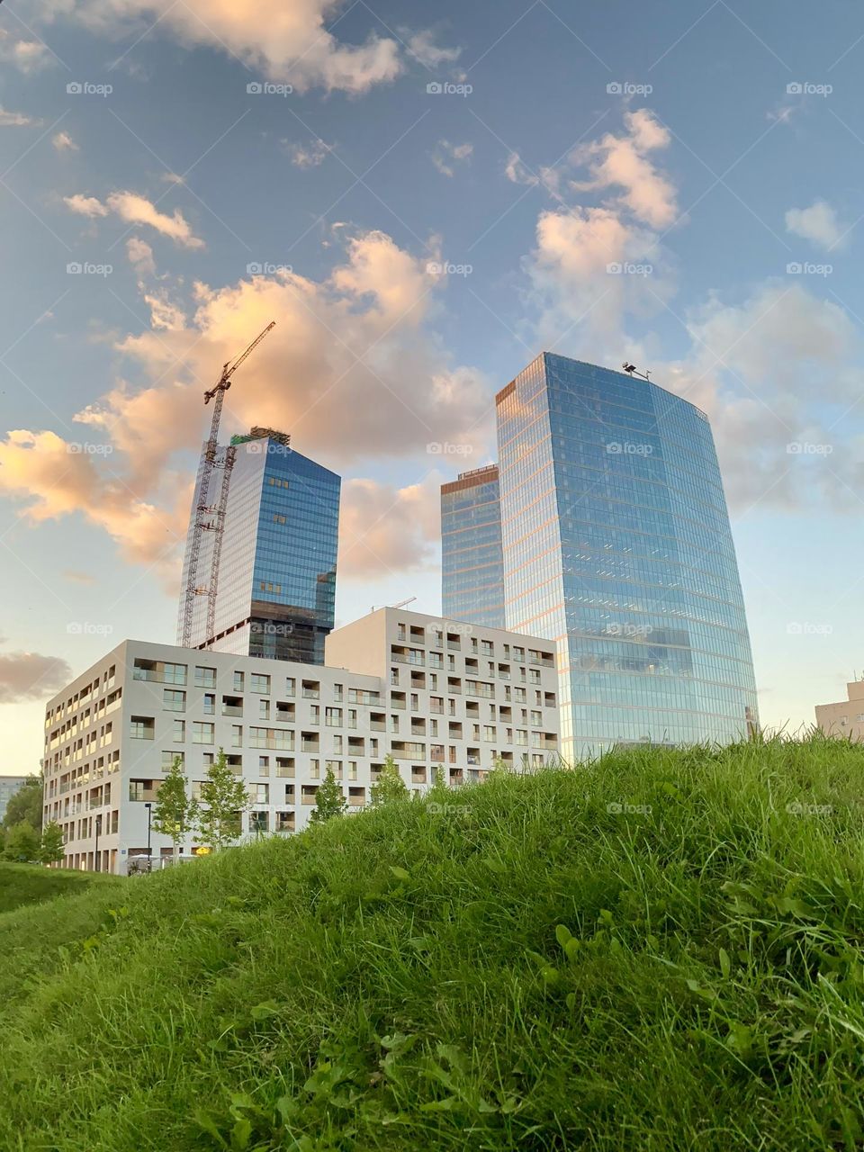 A cityscape from the ground 